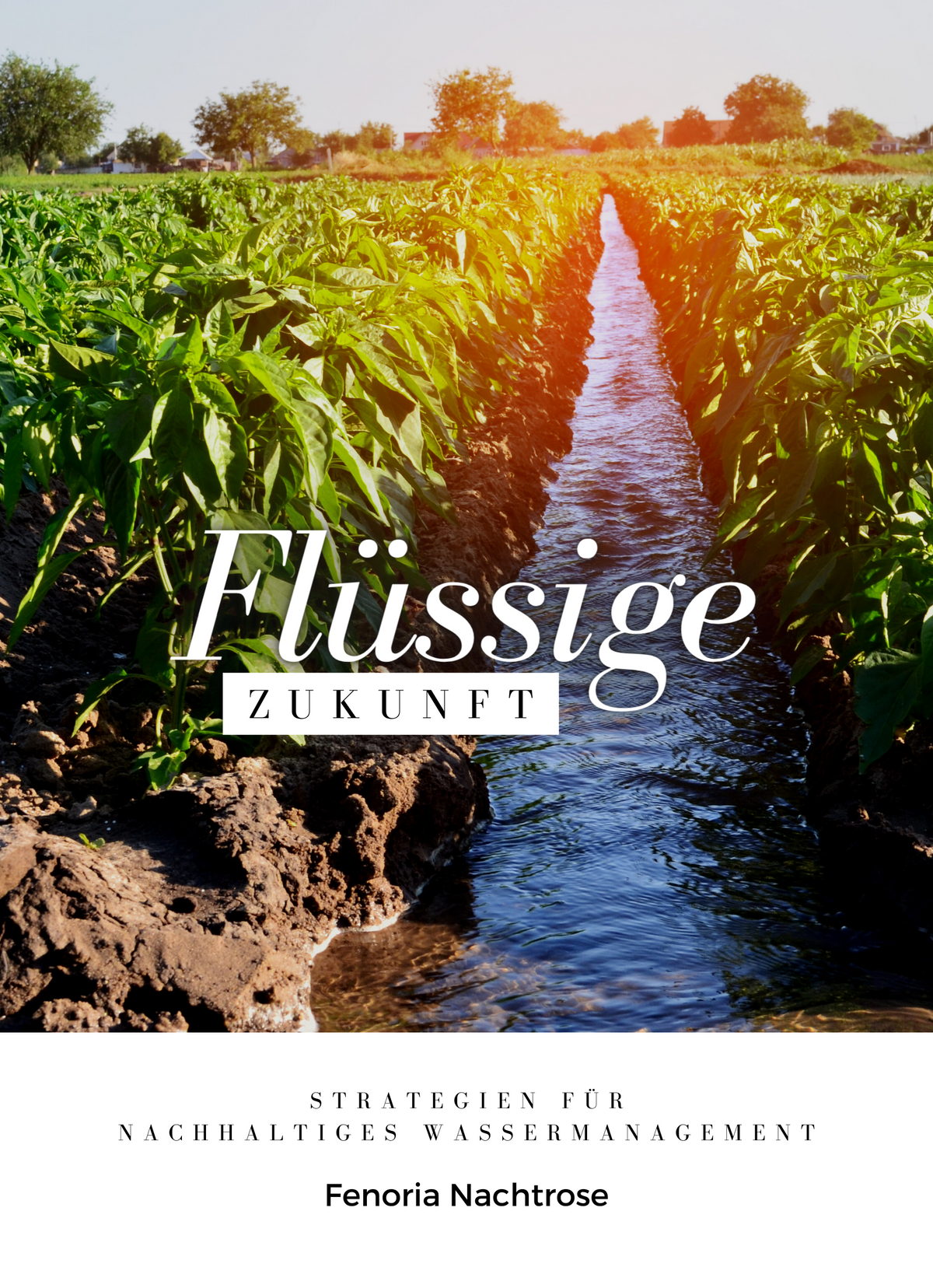 Flüssige Zukunft