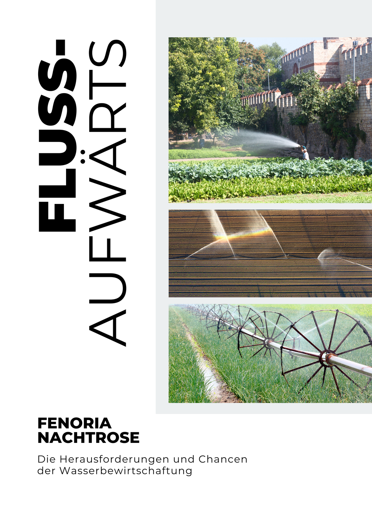 Flussaufwärts